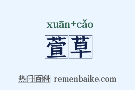 萱草是什么意思的图片